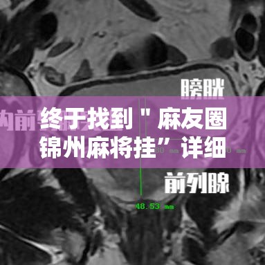 终于找到＂麻友圈锦州麻将挂”详细开挂安装教程