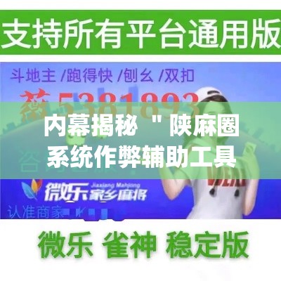 内幕揭秘 ＂陕麻圈系统作弊辅助工具”(确实真的有挂)