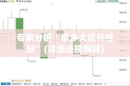专家分析“家乡大贰开挂器”(详细透视教程)