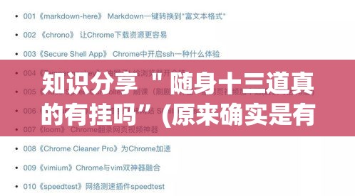 知识分享 ＂随身十三道真的有挂吗”(原来确实是有插件)