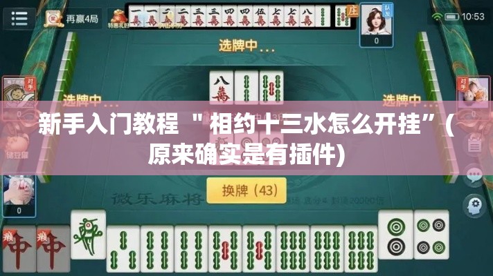 新手入门教程 ＂相约十三水怎么开挂”(原来确实是有插件)
