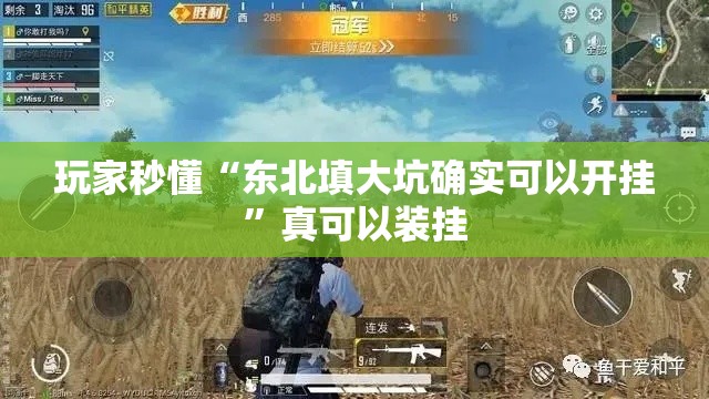 玩家秒懂“东北填大坑确实可以开挂	”真可以装挂