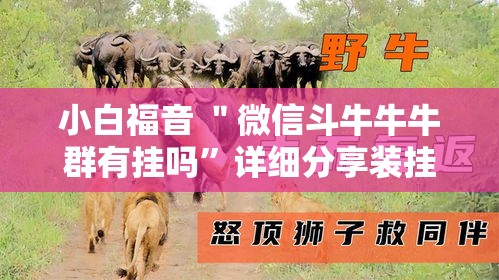 小白福音 ＂微信斗牛牛牛群有挂吗”详细分享装挂步骤教程