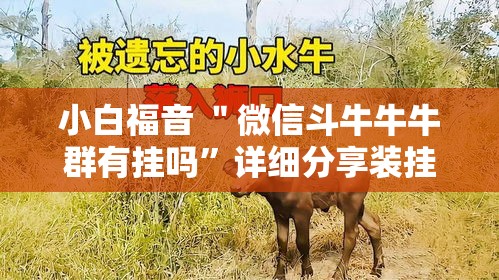 小白福音 ＂微信斗牛牛牛群有挂吗”详细分享装挂步骤教程