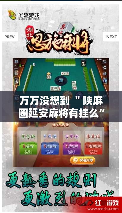 万万没想到 ＂陕麻圈延安麻将有挂么	”开挂安装教程