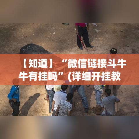 【知道】“微信链接斗牛牛有挂吗”(详细开挂教程)