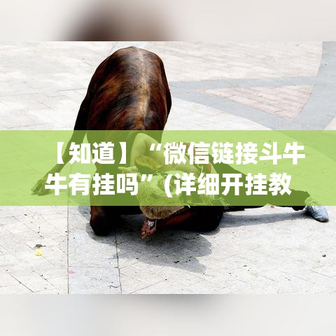 【知道】“微信链接斗牛牛有挂吗”(详细开挂教程)