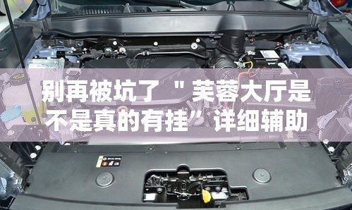 别再被坑了 ＂芙蓉大厅是不是真的有挂	”详细辅助透视