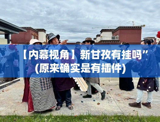 【内幕视角】新甘孜有挂吗”(原来确实是有插件)