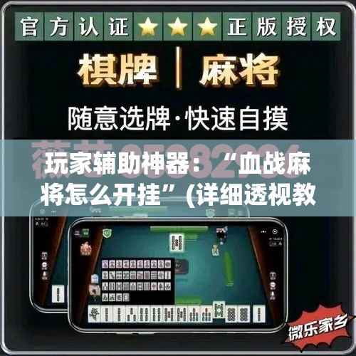 玩家辅助神器：“血战麻将怎么开挂”(详细透视教程)-