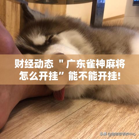 财经动态 ＂广东雀神麻将怎么开挂”能不能开挂!