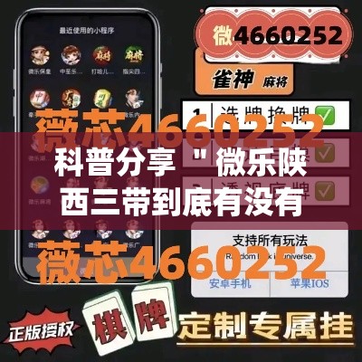 科普分享 ＂微乐陕西三带到底有没有挂”(详细辅助脚本)