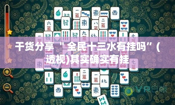 干货分享 ＂全民十三水有挂吗”(透视)其实确实有挂