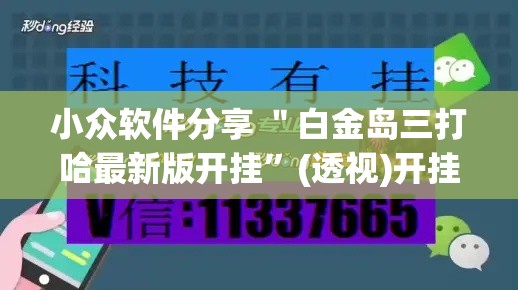 小众软件分享 ＂白金岛三打哈最新版开挂”(透视)开挂辅助脚本+详细开挂安装教程
