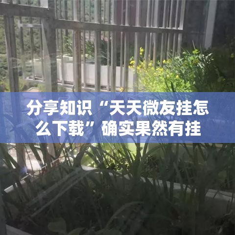 分享知识“天天微友挂怎么下载”确实果然有挂