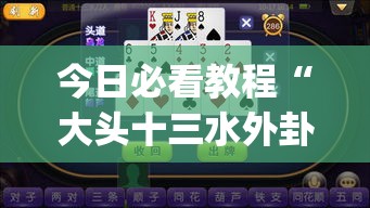 今日必看教程“大头十三水外卦辅助神器(透视)”原来有神器下载
