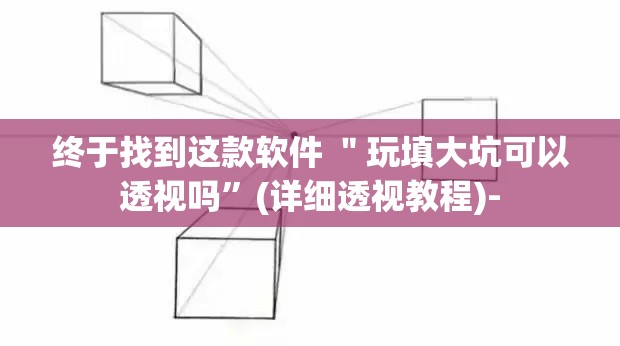 终于找到这款软件 ＂玩填大坑可以透视吗	”(详细透视教程)-