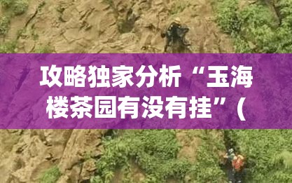 攻略独家分析“玉海楼茶园有没有挂”(外卦神器下载)