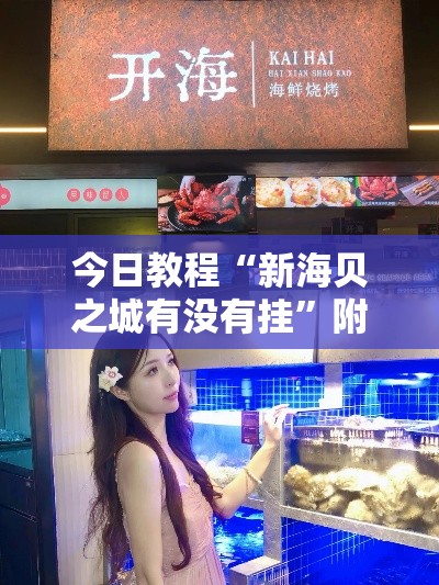 今日教程“新海贝之城有没有挂”附开挂脚本
