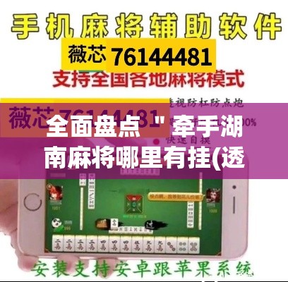 全面盘点 ＂牵手湖南麻将哪里有挂(透视)”开挂(透视)辅助教程